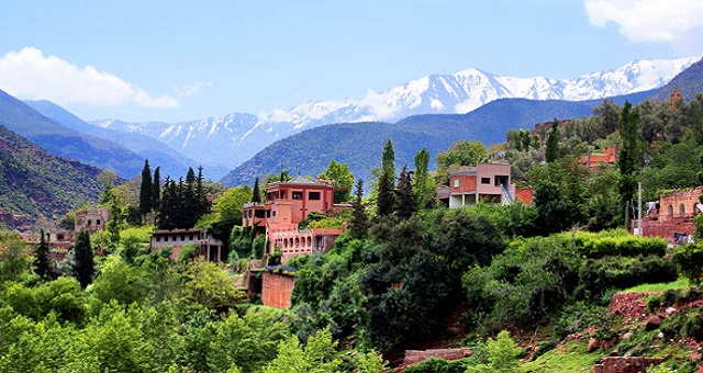 Day trip to Ourika Valley from Marrakech