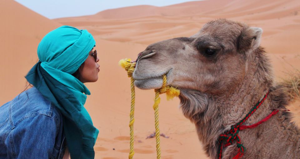 2 days desert tour from Fez To Marrakesh & Merzouga
